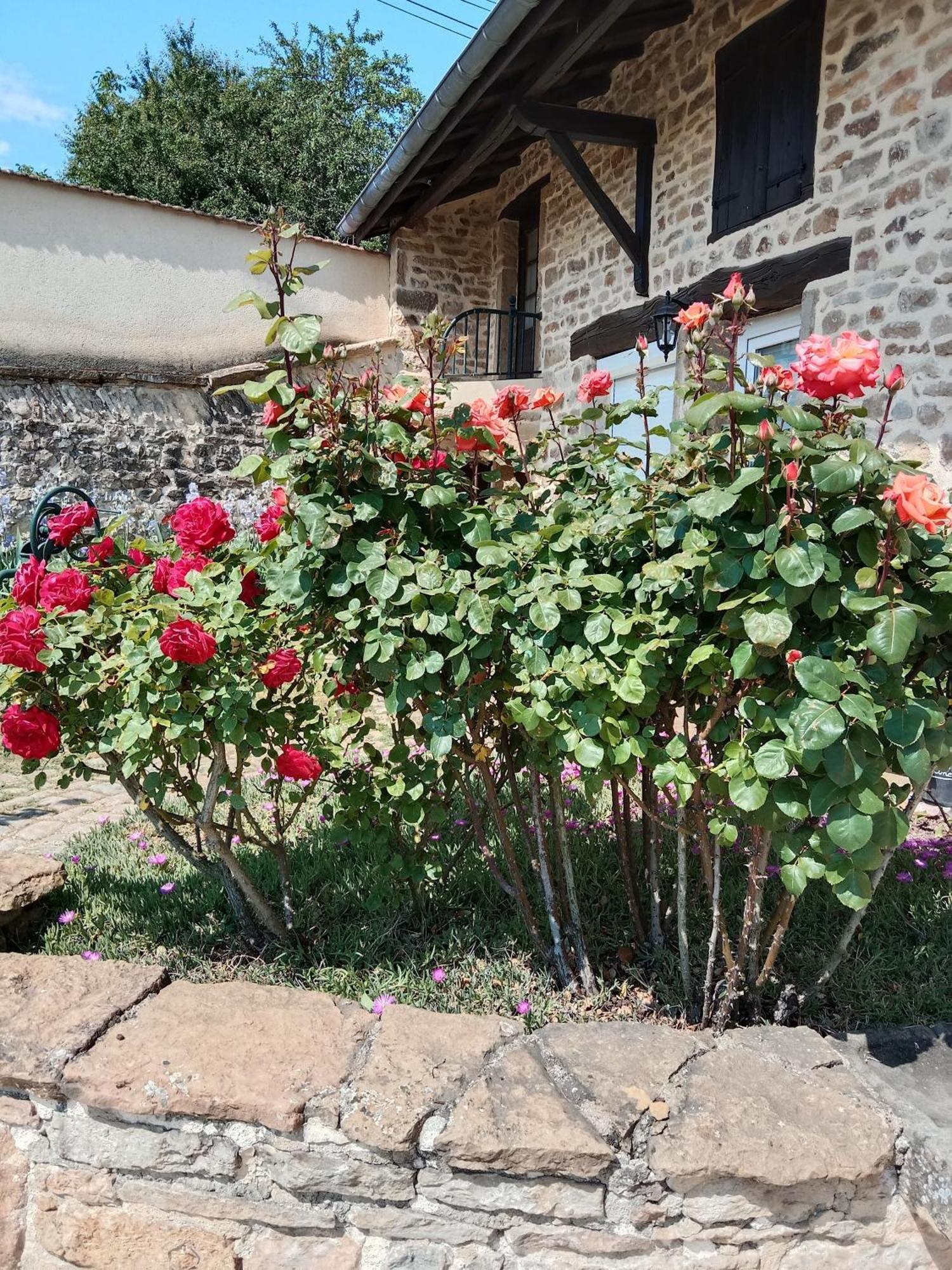 L Olivier De St Leger Bed & Breakfast Chateau  Bagian luar foto