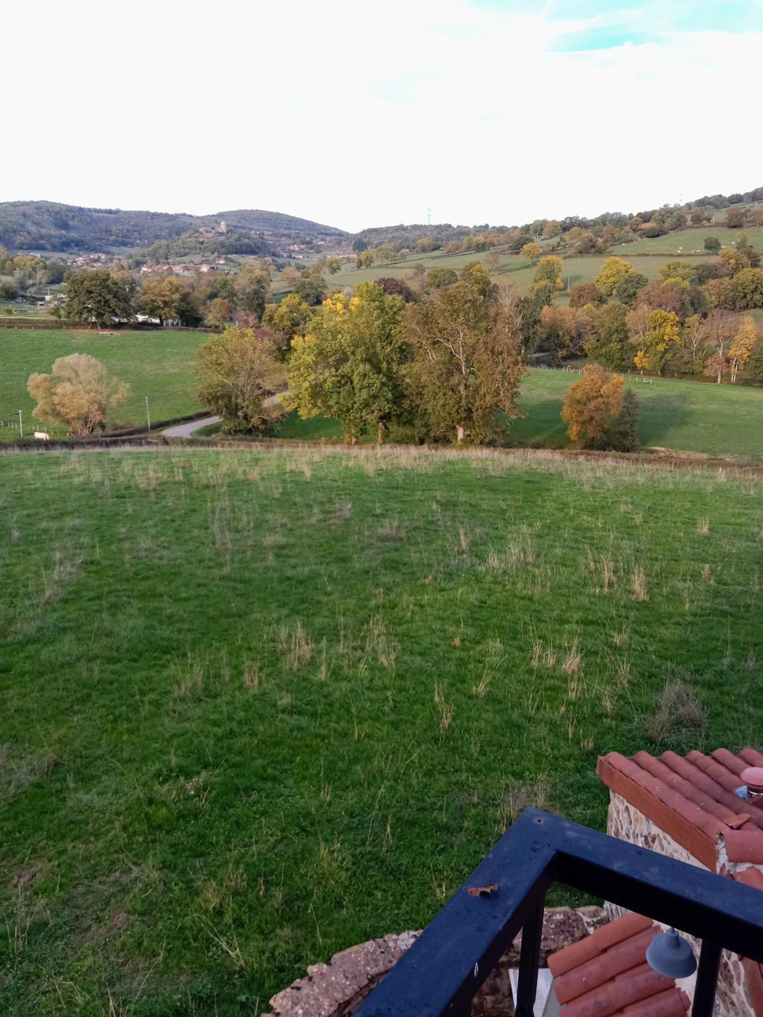 L Olivier De St Leger Bed & Breakfast Chateau  Ruang foto